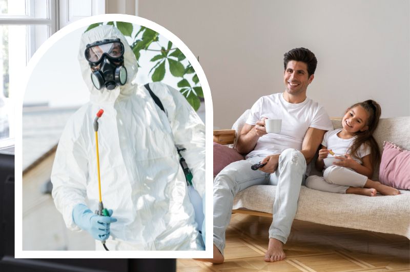 pest control services bangalore