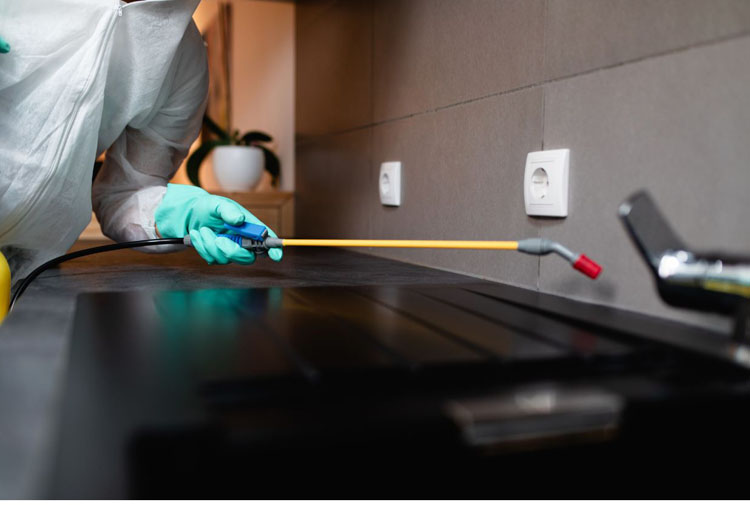 pest control bangalore