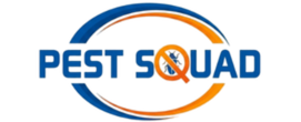bg logo